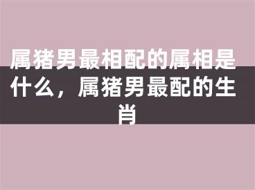 属猪男最相配的属相是什么,属猪男最配的生肖