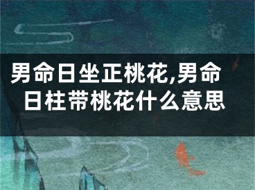 男命日坐正桃花,男命日柱带桃花什么意思
