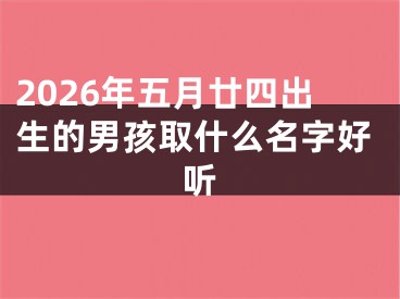2026年五月廿四出生的男孩取什么名字好听