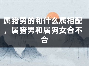 属猪男的和什么属相配，属猪男和属狗女合不合