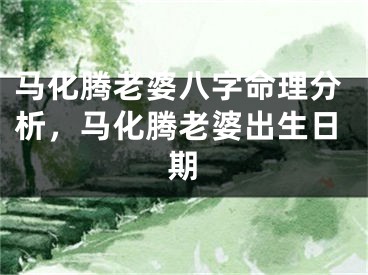 马化腾老婆八字命理分析,马化腾老婆出生日期