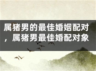 属猪男的最佳婚姻配对,属猪男最佳婚配对象