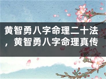 黄智勇八字命理二十法,黄智勇八字命理真传