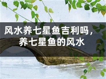 风水养七星鱼吉利吗,养七星鱼的风水