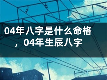 04年八字是什么命格,04年生辰八字