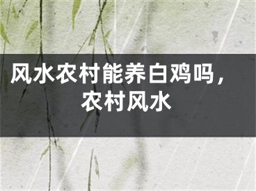 风水农村能养白鸡吗,农村风水