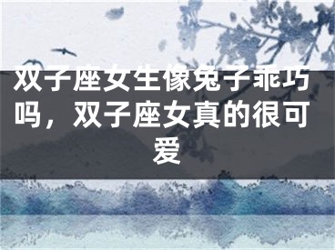 双子座女生像兔子乖巧吗,双子座女真的很可爱