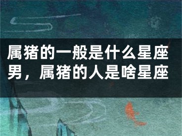 属猪的一般是什么星座男,属猪的人是啥星座