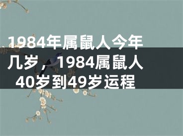 1984年属鼠人今年几岁，1984属鼠人40岁到49岁运程