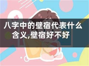 八字中的壁宿代表什么含义,壁宿好不好
