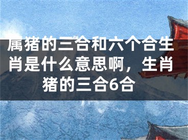 属猪的三合和六个合生肖是什么意思啊,生肖猪的三合6合