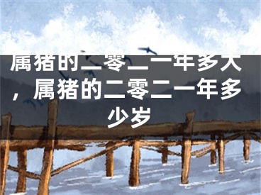 属猪的二零二一年多大,属猪的二零二一年多少岁