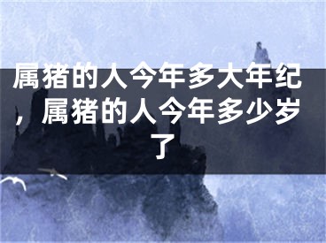 属猪的人今年多大年纪,属猪的人今年多少岁了
