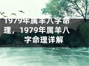 1979年属羊八字命理,1979年属羊八字命理详解