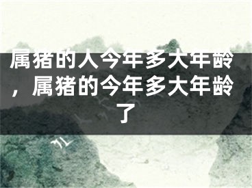 属猪的人今年多大年龄,属猪的今年多大年龄了