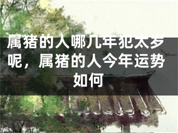 属猪的人哪几年犯太岁呢,属猪的人今年运势如何