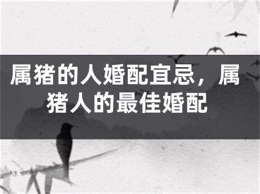 属猪的人婚配宜忌，属猪人的最佳婚配