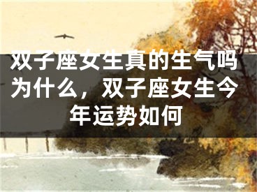 双子座女生真的生气吗为什么,双子座女生今年运势如何
