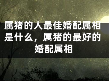 属猪的人最佳婚配属相是什么,属猪的最好的婚配属相