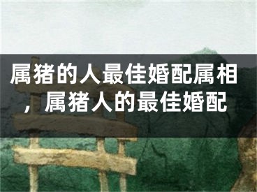 属猪的人最佳婚配属相,属猪人的最佳婚配