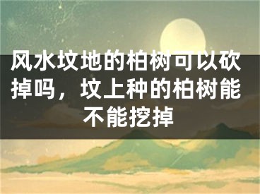风水坟地的柏树可以砍掉吗，坟上种的柏树能不能挖掉