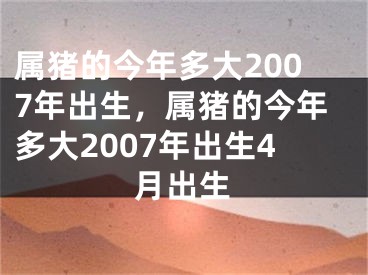 属猪的今年多大2007年出生,属猪的今年多大2007年出生4月出生