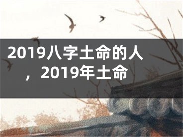 2019八字土命的人，2019年土命