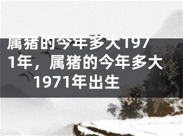 属猪的今年多大1971年，属猪的今年多大1971年出生