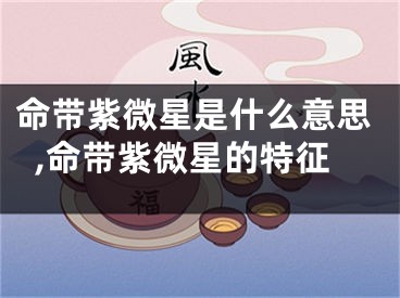 命带紫微星是什么意思,命带紫微星的特征