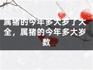 属猪的今年多大岁了大全,属猪的今年多大岁数