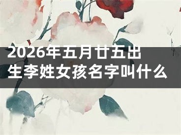 2026年五月廿五出生李姓女孩名字叫什么