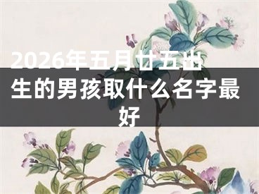2026年五月廿五出生的男孩取什么名字最好
