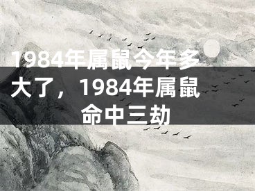 1984年属鼠今年多大了，1984年属鼠命中三劫
