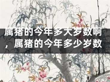 属猪的今年多大岁数啊,属猪的今年多少岁数