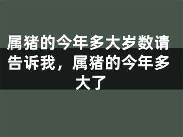 属猪的今年多大岁数请告诉我,属猪的今年多大了