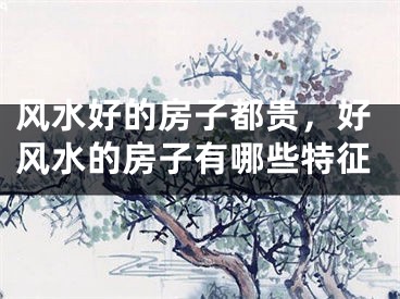 风水好的房子都贵,好风水的房子有哪些特征