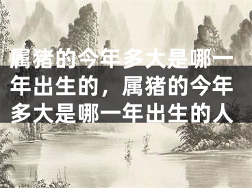 属猪的今年多大是哪一年出生的，属猪的今年多大是哪一年出生的人