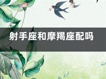 射手座和摩羯座配吗