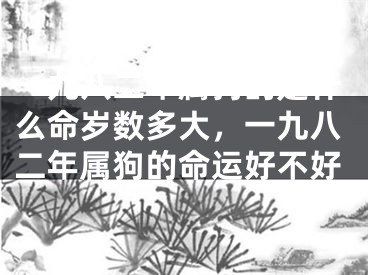 一九八二年属狗的是什么命岁数多大,一九八二年属狗的命运好不好
