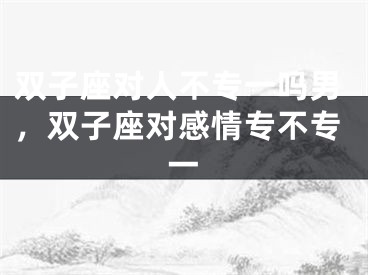 双子座对人不专一吗男，双子座对感情专不专一