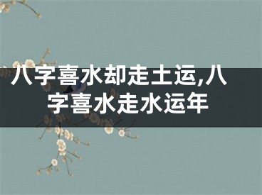 八字喜水却走土运,八字喜水走水运年