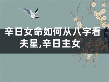 辛日女命如何从八字看夫星,辛日主女