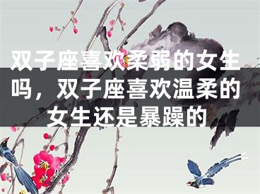 双子座喜欢柔弱的女生吗，双子座喜欢温柔的女生还是暴躁的