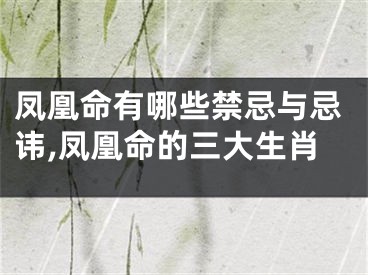 凤凰命有哪些禁忌与忌讳,凤凰命的三大生肖