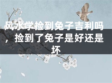 风水学捡到兔子吉利吗，捡到了兔子是好还是坏