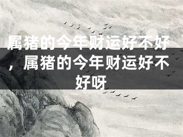 属猪的今年财运好不好,属猪的今年财运好不好呀