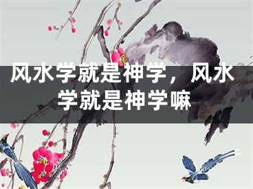 风水学就是神学，风水学就是神学嘛