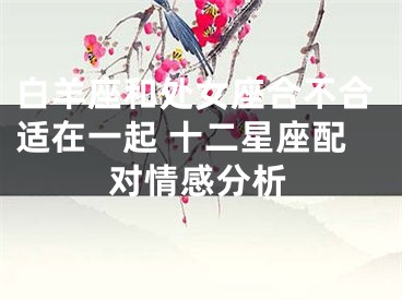 白羊座和处女座合不合适在一起 十二星座配对情感分析