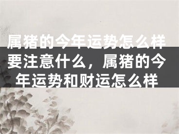 属猪的今年运势怎么样要注意什么,属猪的今年运势和财运怎么样