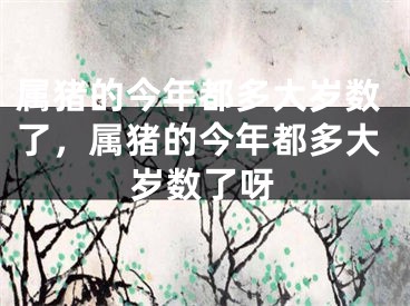 属猪的今年都多大岁数了,属猪的今年都多大岁数了呀